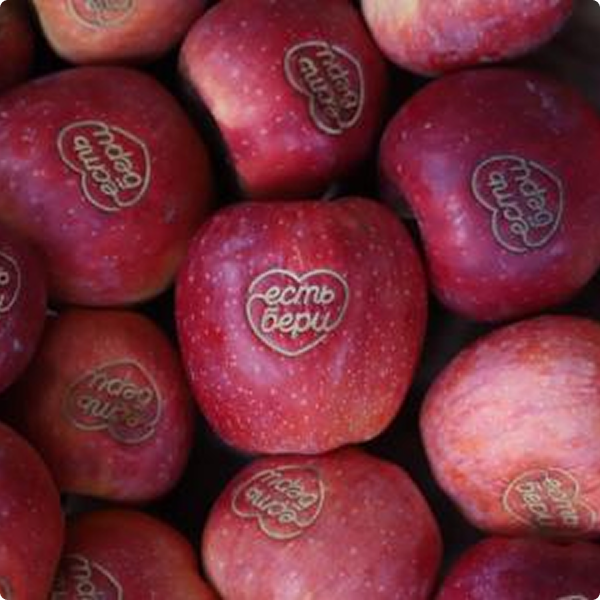 Разработать продукт для вас